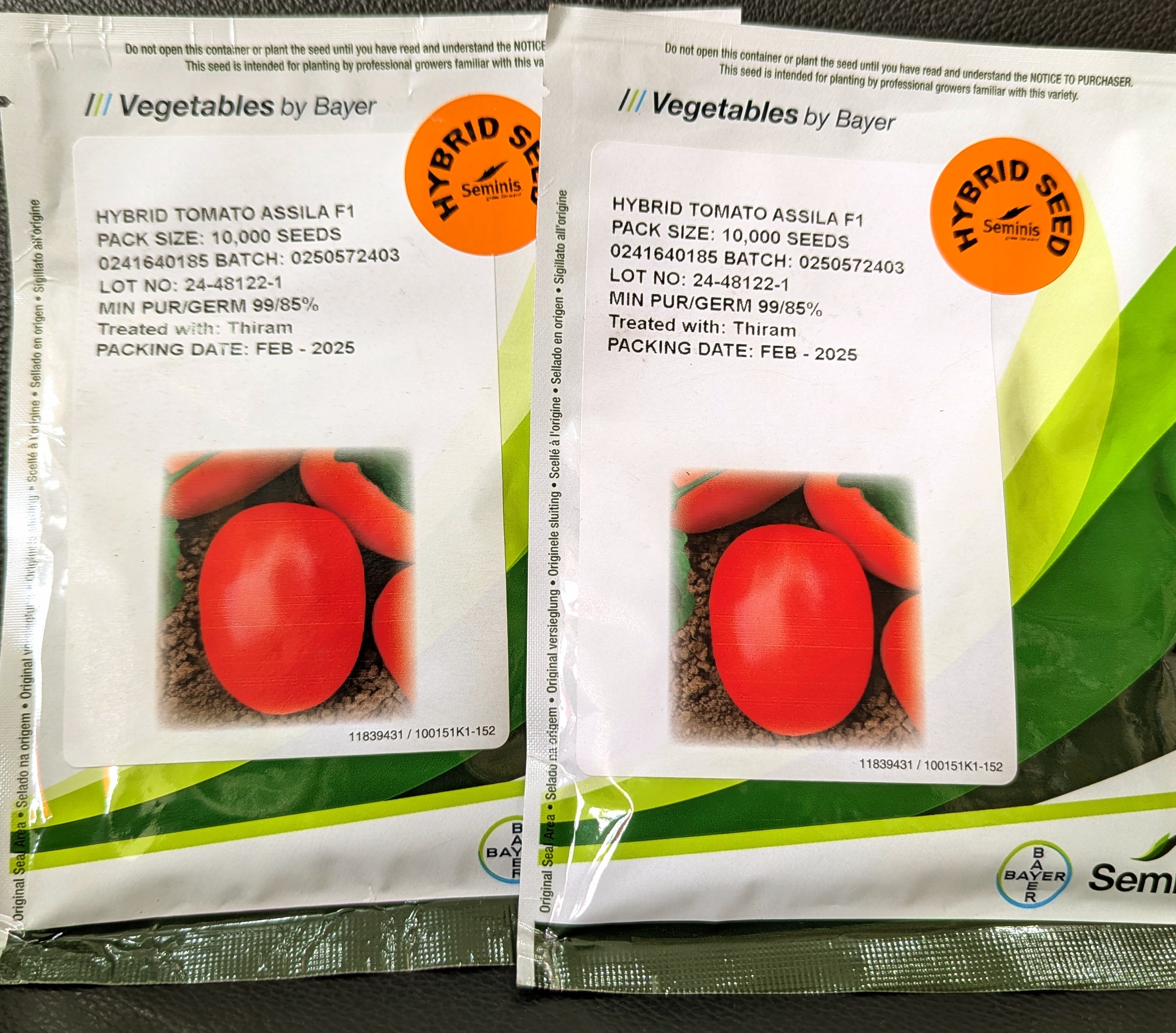 ASSILA F1- 10,000seeds