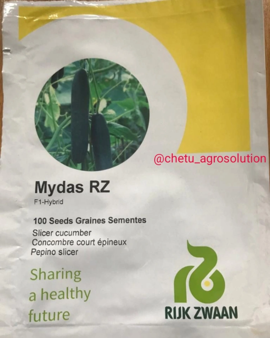 MYDAS RZ F1- 100seeds