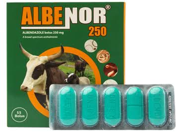 ALBENOR Tablet- 250gmg