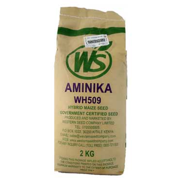 AMINIKA(509)- 2Kg
