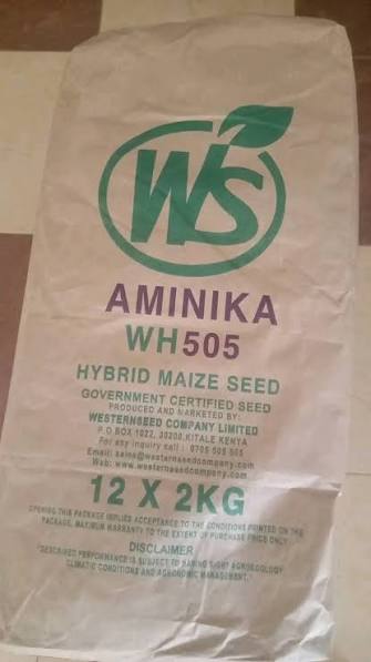 AMINIKA(WH 505)- 2Kg
