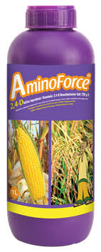 AMINO FORCE(2-4-D)- 1Litre