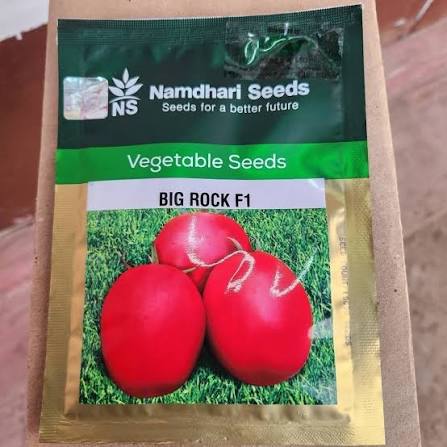 BIG ROCK F1- 5,000seeds