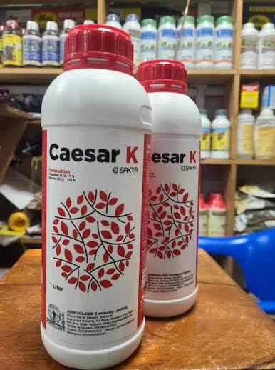 CAESAR K- 1Ltre