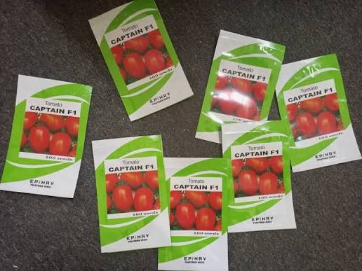CAPTAIN F1- 1,000seeds