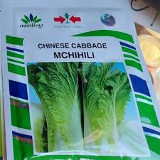 CHINESE MICHIHILI(EWS) - 25gm