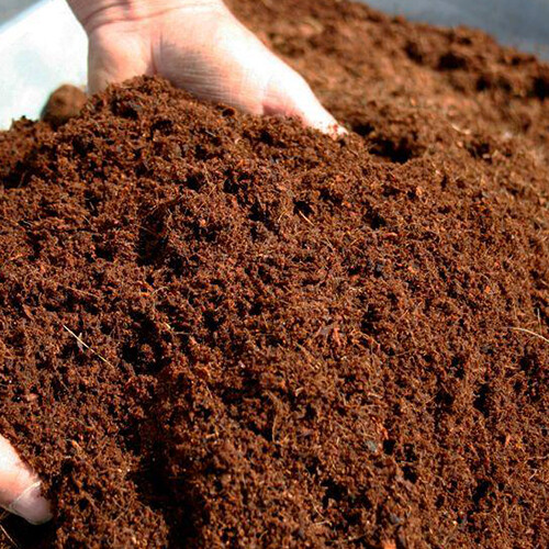 COCO PEAT MOSS- 50Kg