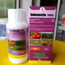 INDOMECTIN- 100mls