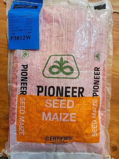 PIONEER(3812)- 2kg