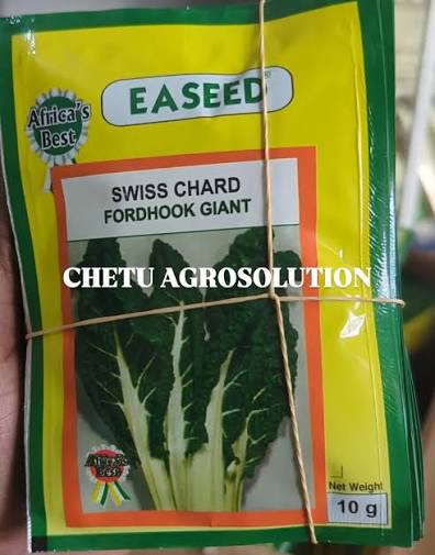 SWISS CHARD(EASEED)- 25gm