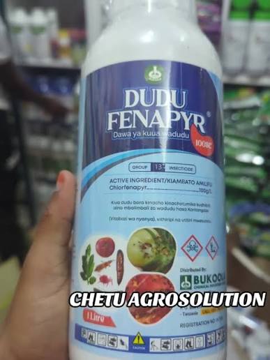 DUDU FENAPYR- 1Litre