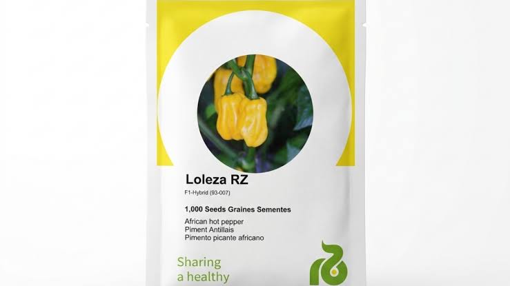 LOLEZA R2- 100seeds