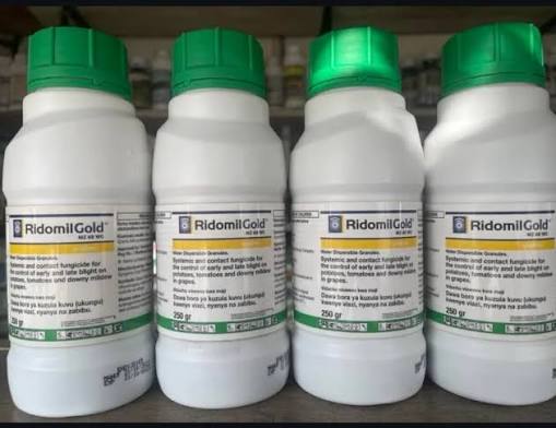 RIDOMIL GOLD - 1kg
