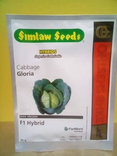 GLORIA F1- 25gm