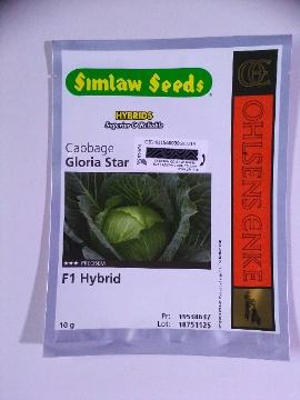 GLORIA STAR/Syngenta(SEEDCO)- 25gm