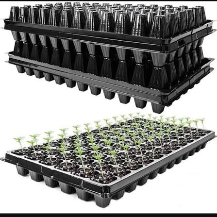 TRAY- 200Holes