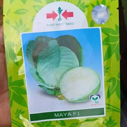 MAYA F1 - 25gm