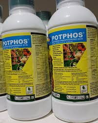 POTPHOS -100mls