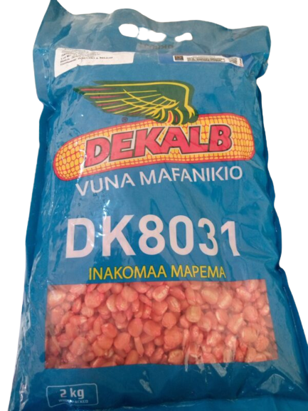 DK (8031)- 2kg