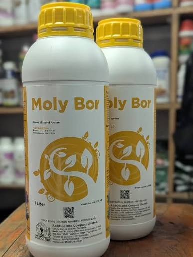 MOLY BOR- 1Litre