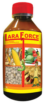 LARA FORCE - 1Litre