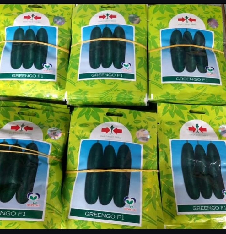 GREENGO F1 - 25gm