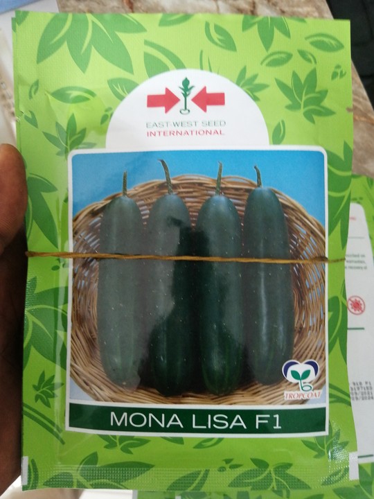 MONALISA F1 - 50gm
