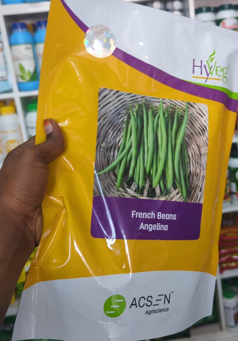 ANGELINA FRENCH BEANS-  250gm