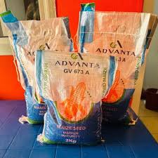 HYBRID MAIZE GV 673A- 2kg