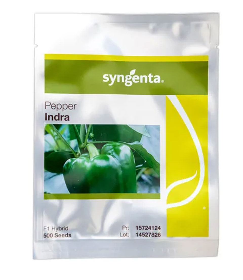 INDRA PEPPER- 1,000seeds