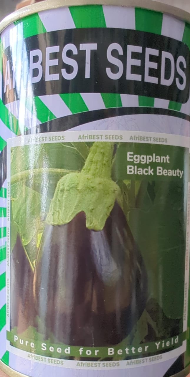 BLACK BEAUTY(AfriBEST SEEDS)- 25gm