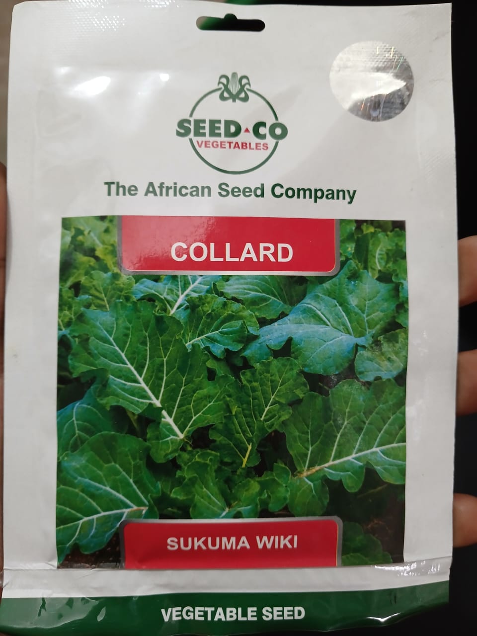 SUKUMA WIKI/COLLARD(SEED CO)- 25gm