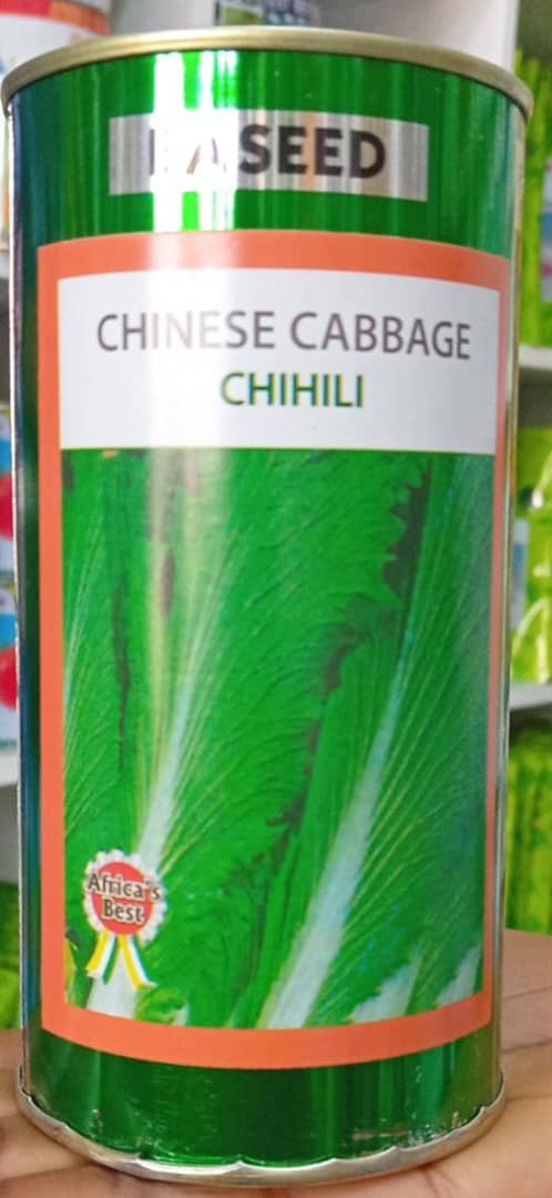 CHINESE(SYOVA SEEDS)- 100gm