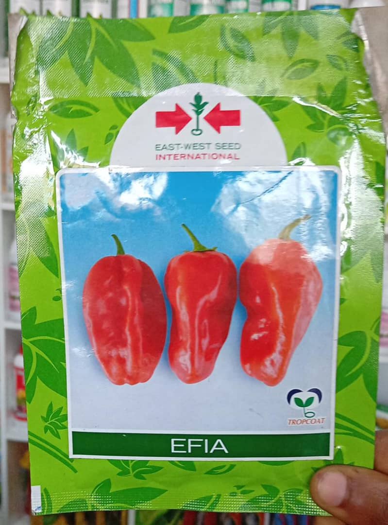 EFIA - 10gm