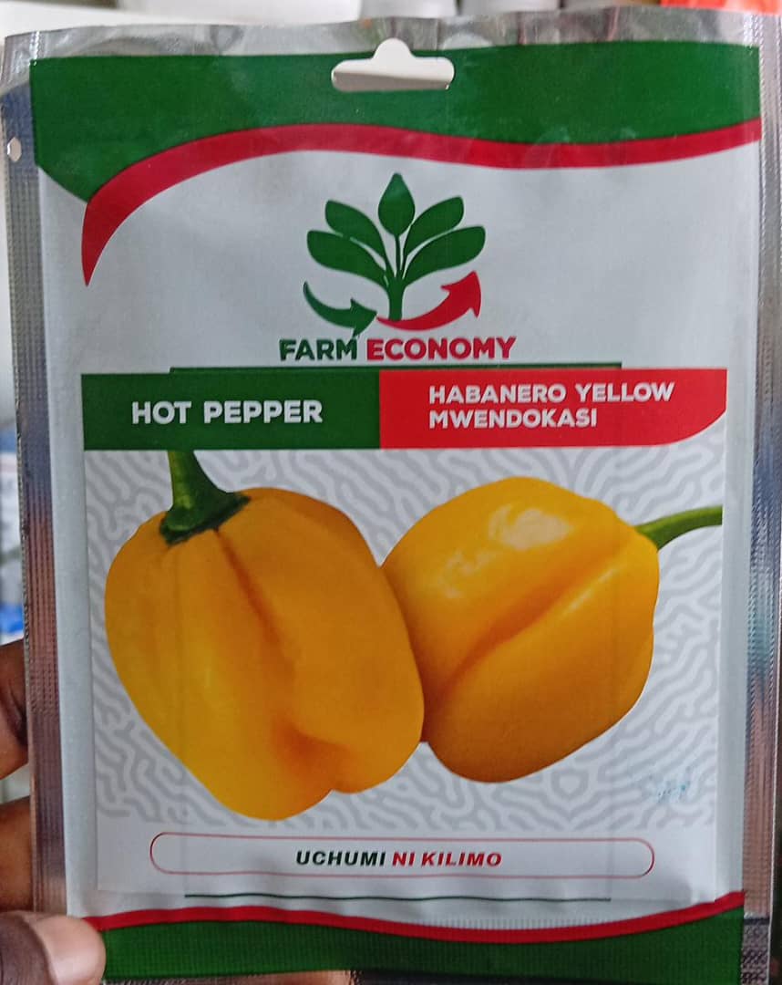 MWENDOKASI/HABANERO(FEC)- 25gm