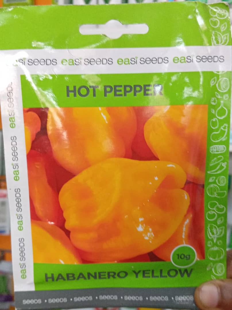 HABANERO YELLOW(EA SEED)- 25gm