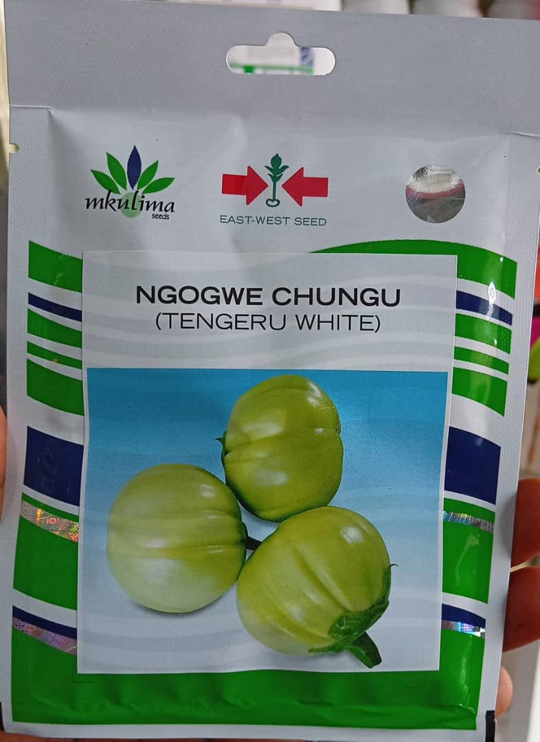 NGOGWE CHUNGU(EWS) - 25gm