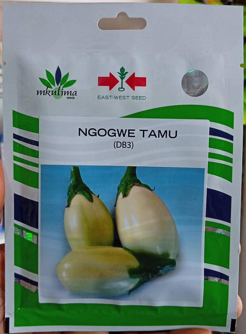 NGOGWE TAMU(EWS) - 25gm