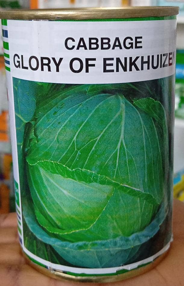 GLORY of ENKHUIZEN- 50gm