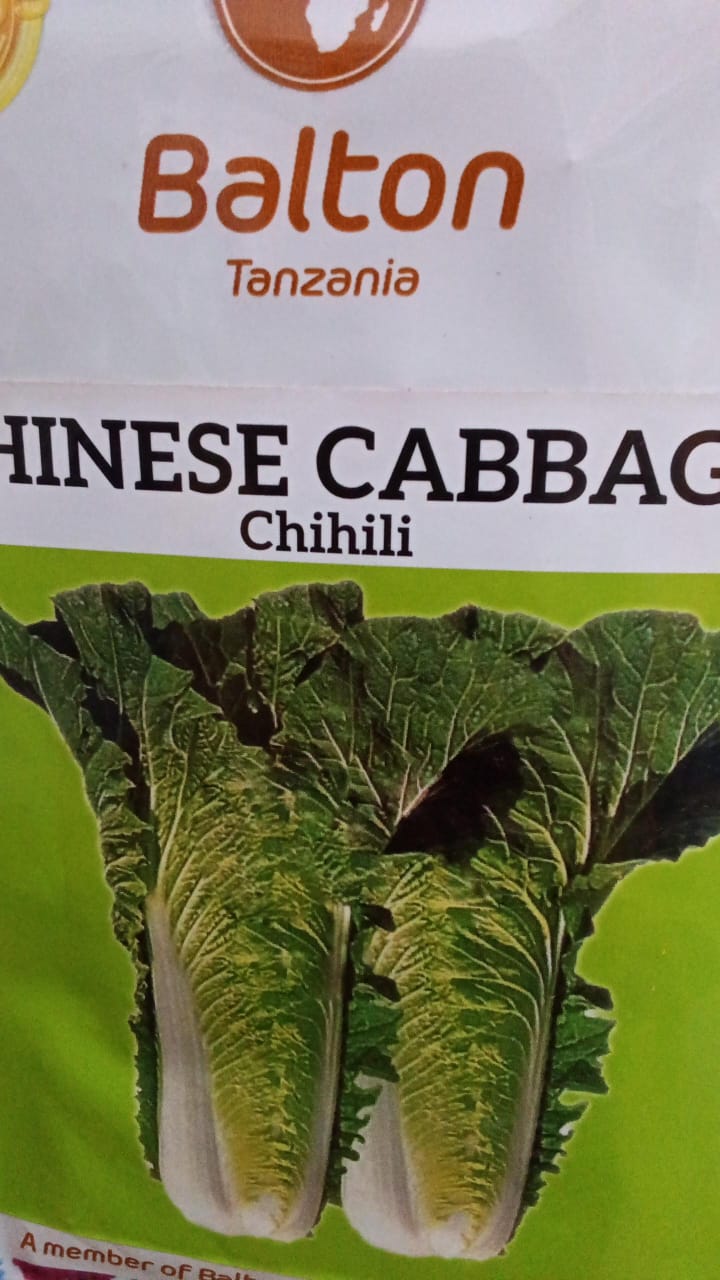 CHINESE CABBAGE/Chihili(BALTON)- 10gm