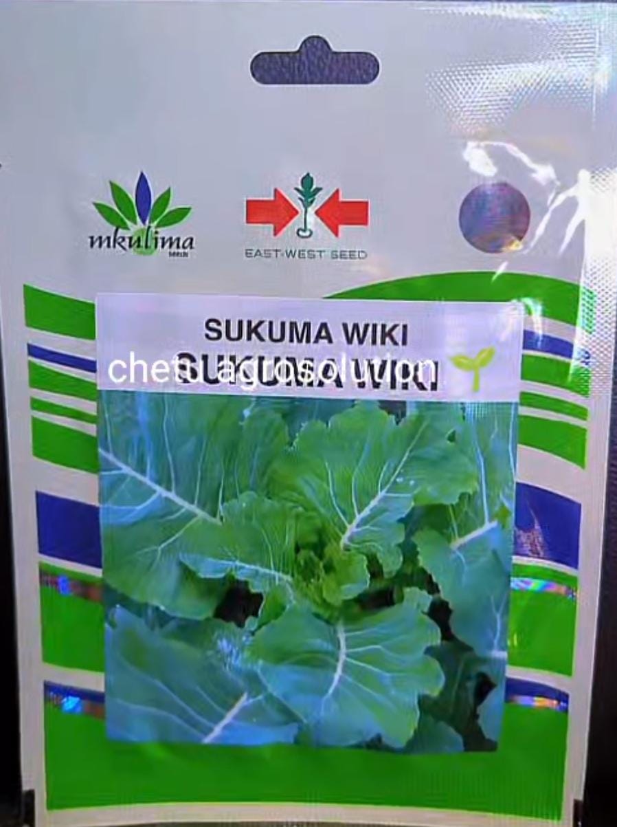SUKUMAWIKI/KALE(EWS)-25gm